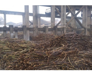 廣西來賓某堿氯法甘蔗渣制漿廠除COD、脫色案例分享